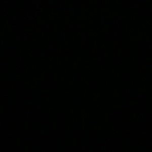 Meet your Posher, Joey